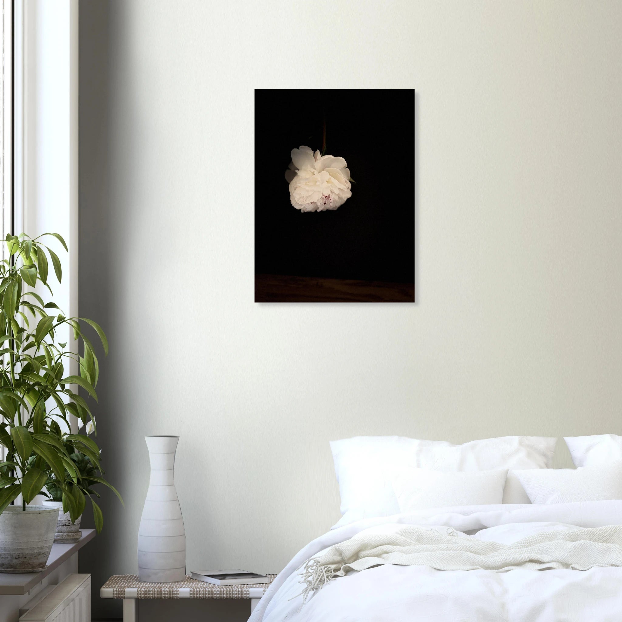 1643c126-95d9-47de-b7d8-eea3ca125951