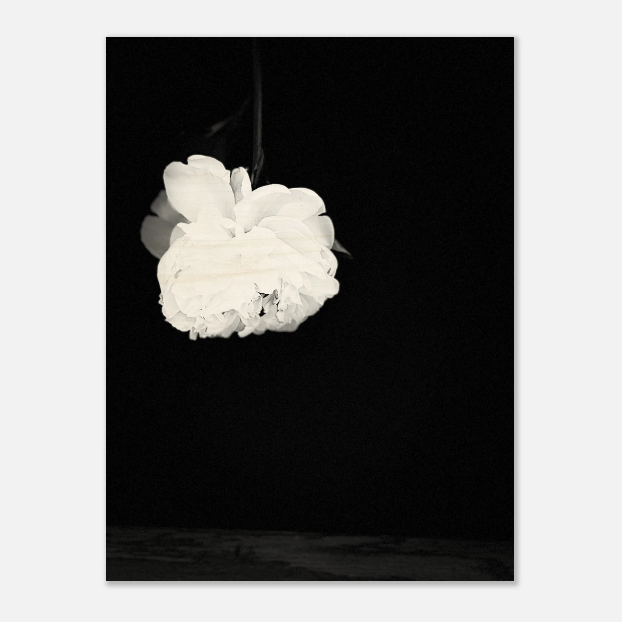 394706f5-41dd-4675-b651-cd7823dd9c35