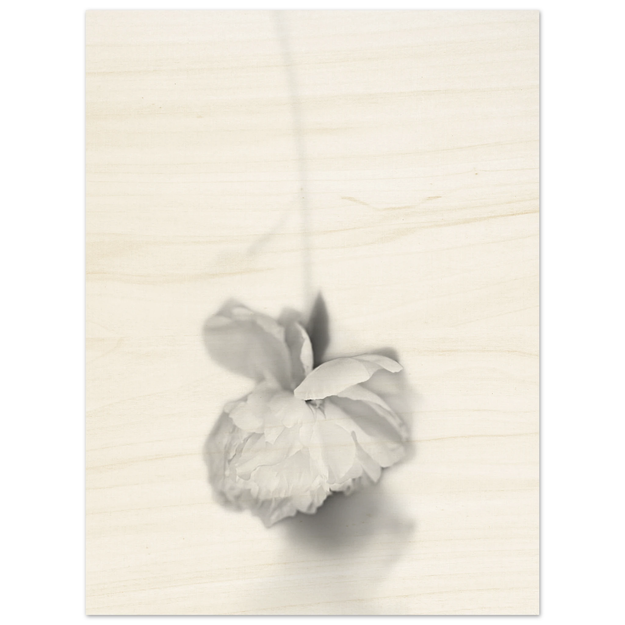 86667d2e-c50c-4d23-b2a3-14ca97735ec1