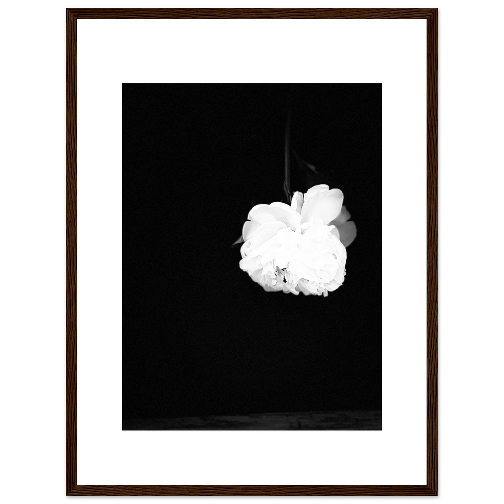 919b2344-ce82-44d8-8523-0ecbbb5c3186
