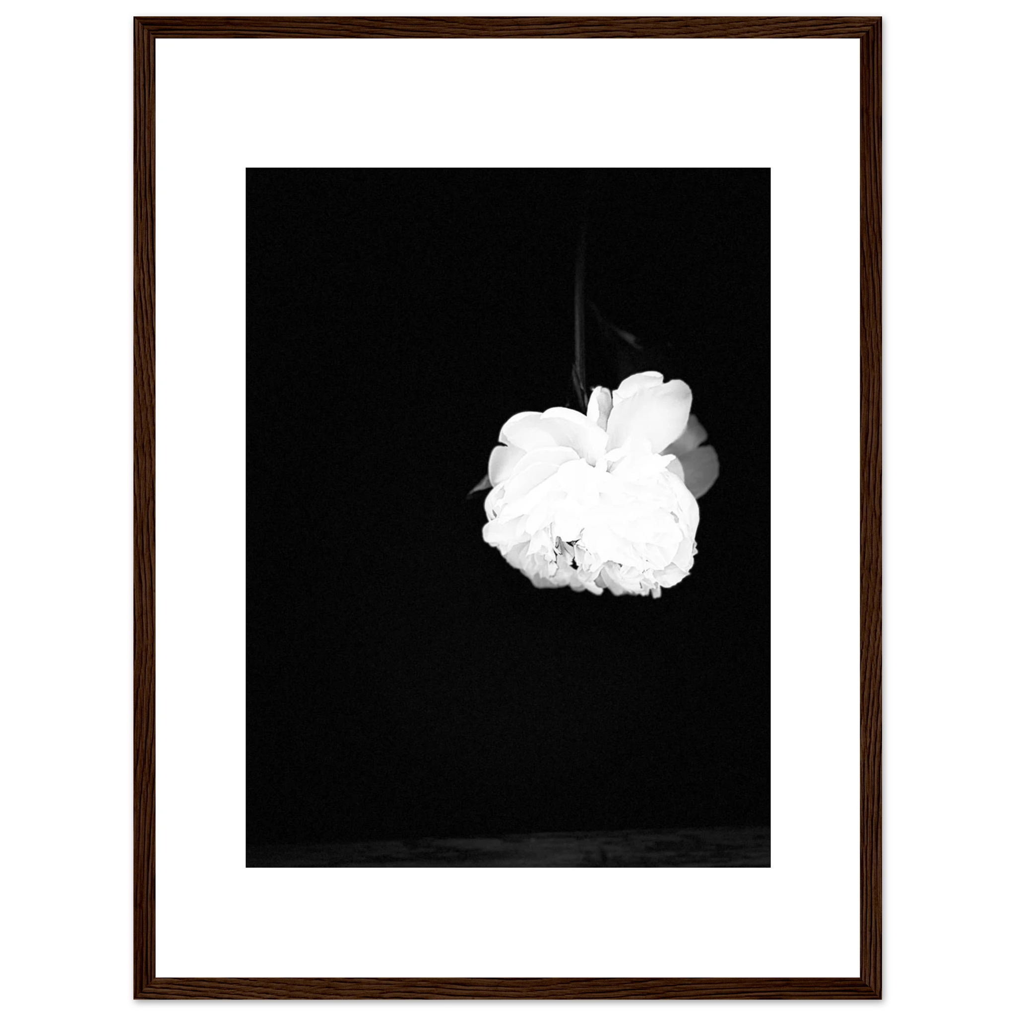 919b2344-ce82-44d8-8523-0ecbbb5c3186