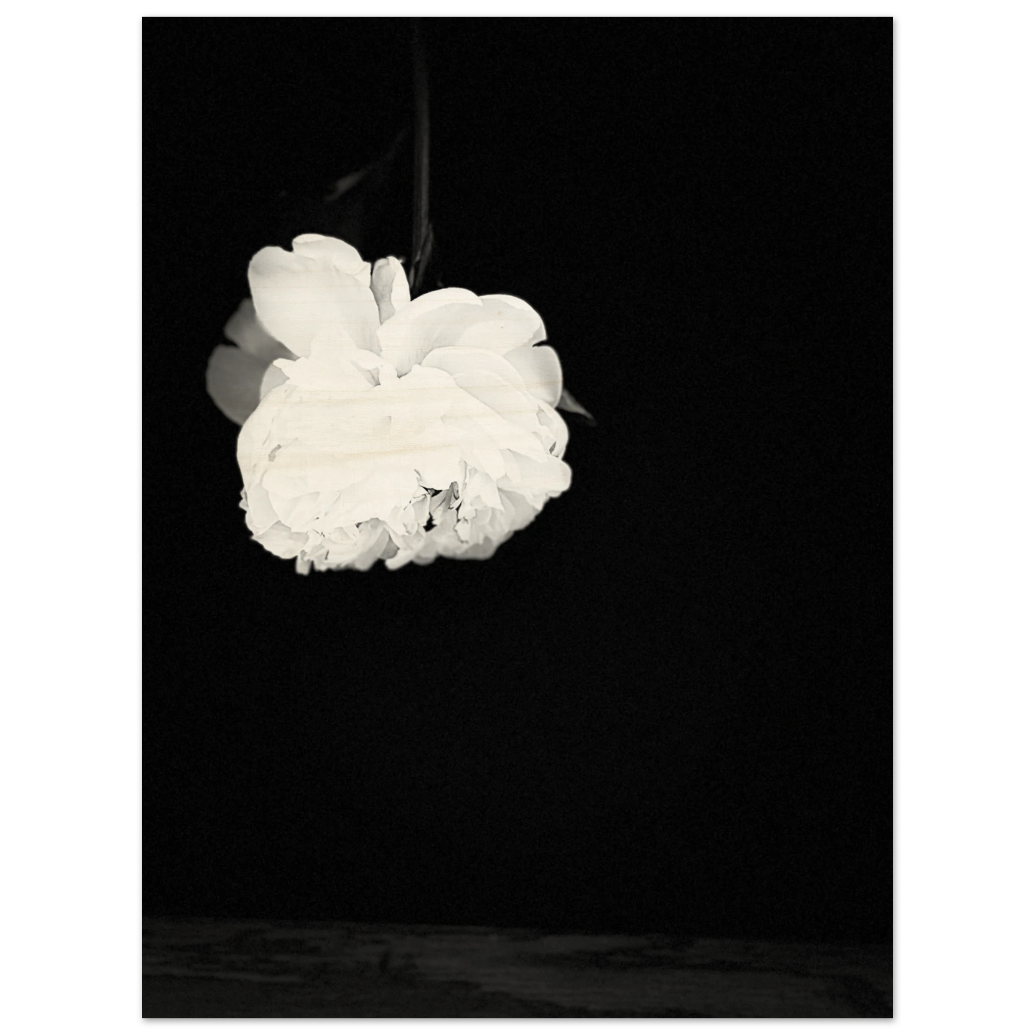 dd533932-9d4b-4a98-9029-4edf697f2468