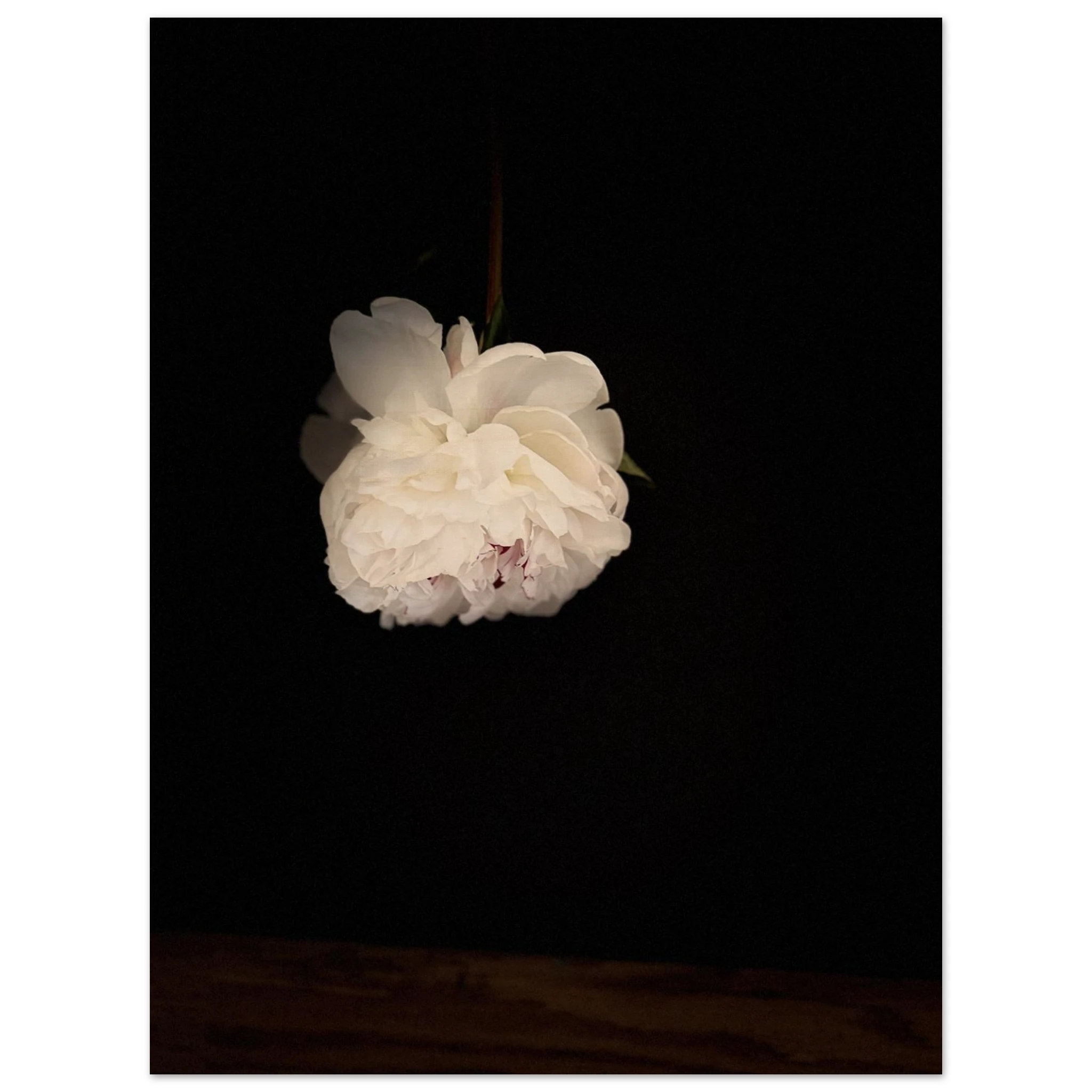 e5b23b6e-652d-4a9d-b6cc-6c6af522290f